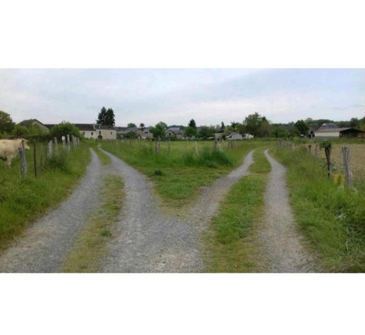 Gite Les Petits Chemins Ledeuix Exterior foto
